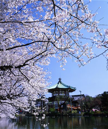 Ueno Onshi Park, Tokyo, Japan Stock Photo - Rights-Managed, Code: 859-03806824