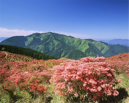 simsearch:859-03806946,k - Mt.Kongo, Nara, Japan Foto de stock - Direito Controlado, Número: 859-03806834