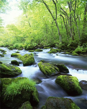 Oirase Stream, Aomori, Japon Photographie de stock - Rights-Managed, Code: 859-03806857