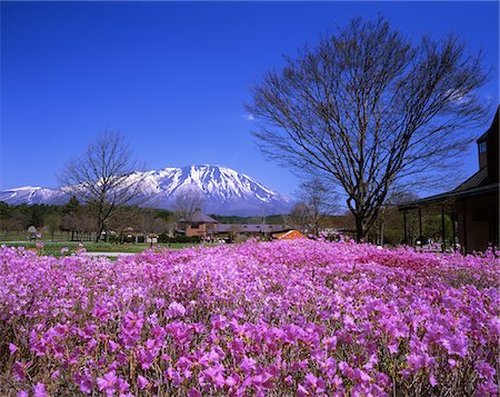 simsearch:859-03806940,k - Ferme de Koiwai, Iwate, Japon Photographie de stock - Rights-Managed, Code: 859-03806850