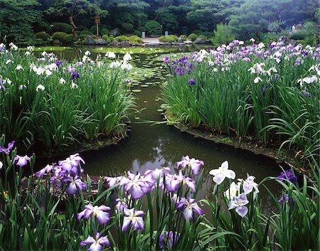 Sanctuaire Heian Jingu, Kyoto, Japon Photographie de stock - Rights-Managed, Code: 859-03806943