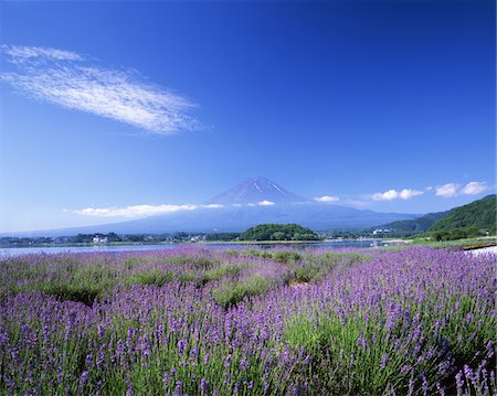 Kawaguchiko, Yamanashi, Japan Foto de stock - Con derechos protegidos, Código: 859-03806992