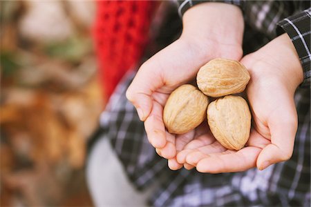 pictures of people eating with their hands - Human Hands Holding Walnut Stock Photo - Rights-Managed, Code: 859-03839656