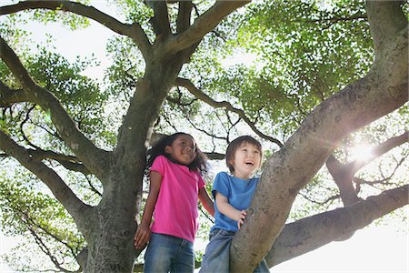 simsearch:6122-08229458,k - Children On A Tree Foto de stock - Direito Controlado, Número: 859-03839842