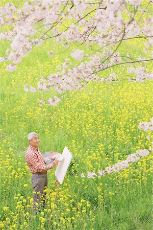 Middle Aged Man Painting In Field Of Wildflowers Stock Photo - Rights-Managed, Code: 859-03840287
