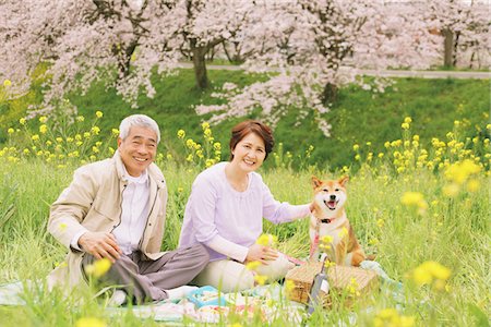 shiba inu - Aged Couple mit Picknick im Park Stockbilder - Lizenzpflichtiges, Bildnummer: 859-03840280