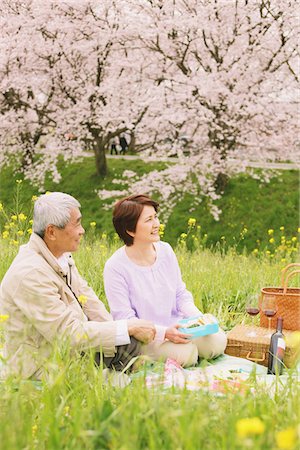 Middle-Aged Couple Having Picnic In Park Stock Photo - Rights-Managed, Code: 859-03840333