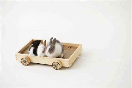 fluffy white rabbit - Three rabbits riding Wooden toy Stock Photo - Rights-Managed, Code: 859-03840472