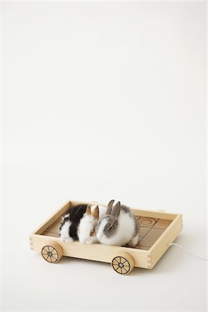 fluffy white rabbit - Three rabbits riding Wooden toy Stock Photo - Rights-Managed, Code: 859-03840473