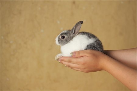 side profile bunny - Person holding Rabbit Stock Photo - Rights-Managed, Code: 859-03840494