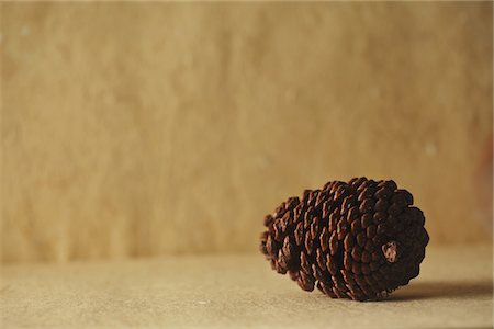 Pomme de pin Photographie de stock - Rights-Managed, Code: 859-03840533