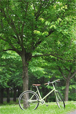 parked - Vélo garé dans un parc Photographie de stock - Rights-Managed, Code: 859-03884537