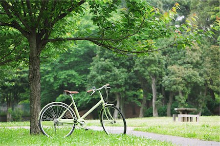 Bicycle Parked In Parkland Stock Photo - Rights-Managed, Code: 859-03884538