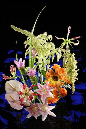 simsearch:859-03884561,k - Flower Arrangement Stock Photo - Rights-Managed, Code: 859-03884549