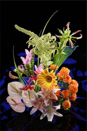 simsearch:859-03884561,k - Flower Arrangement Stock Photo - Rights-Managed, Code: 859-03884551