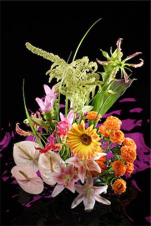 simsearch:859-03884561,k - Flower Arrangement Stock Photo - Rights-Managed, Code: 859-03884552