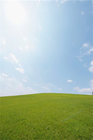 fresh clouds - Lush pasture Stock Photo - Rights-Managed, Code: 859-03884717