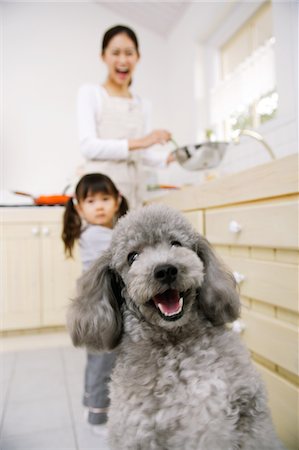 simsearch:859-03884886,k - Mère et fille dans la cuisine avec chien caniche Photographie de stock - Rights-Managed, Code: 859-03884841