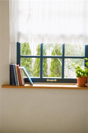 simsearch:670-03734302,k - Livres et plante en pot à la fenêtre Photographie de stock - Rights-Managed, Code: 859-03884857