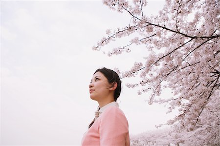 Woman Standing By Cherry Blossom Stock Photo - Rights-Managed, Code: 859-03885011