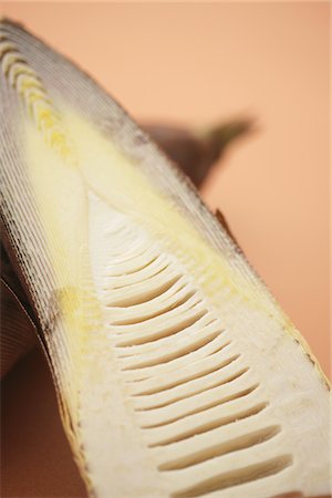 simsearch:859-03600866,k - Sliced Bamboo shoot Fotografie stock - Rights-Managed, Codice: 859-03885208