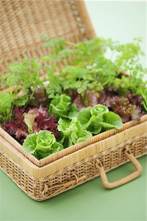 Lettuce seedling in Basket Stock Photo - Rights-Managed, Code: 859-03885234