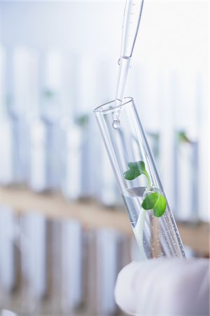 Seedling In Test Tube Stock Photo - Rights-Managed, Code: 859-03982315