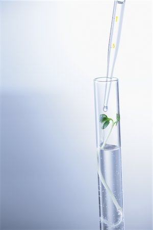 simsearch:859-03982282,k - Seedling In Test Tube Foto de stock - Con derechos protegidos, Código: 859-03982318