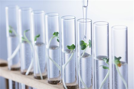 Seedling In Test Tube Stock Photo - Rights-Managed, Code: 859-03982313