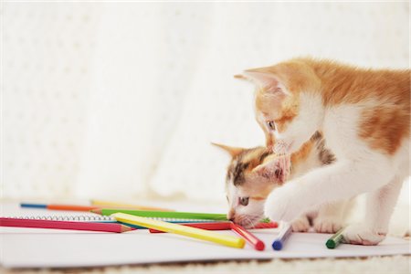 Two Baby Kitten Playing With Notebook And Colored Pencils Foto de stock - Con derechos protegidos, Código: 859-03982932