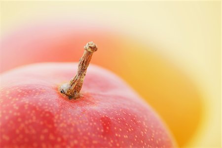 Close Up Of Apple Mango Stock Photo - Rights-Managed, Code: 859-03983020