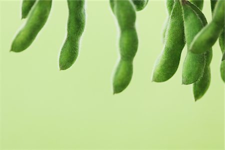 Fèves de soya cuites Photographie de stock - Rights-Managed, Code: 859-03983129