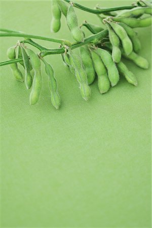 soja - Branch Of Boiled Soybeans Foto de stock - Con derechos protegidos, Código: 859-03983130