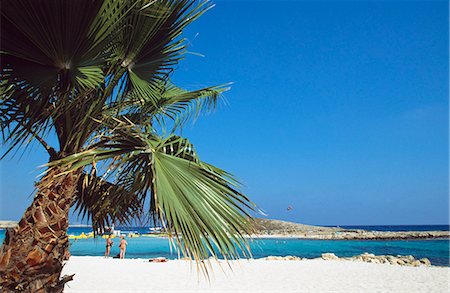 Palm tree,beach,Nissi Bay,Cyprus Foto de stock - Con derechos protegidos, Código: 851-02959439