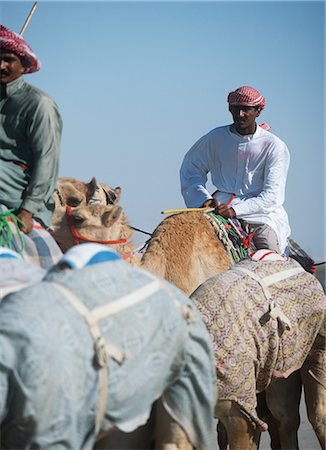 riding on a camel in the desert - Camel herders,Dubai,UAE. Stock Photo - Rights-Managed, Code: 851-02959503