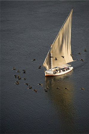 felucca - Felucca on River Nile,Aswan,Egypt Stock Photo - Rights-Managed, Code: 851-02959560