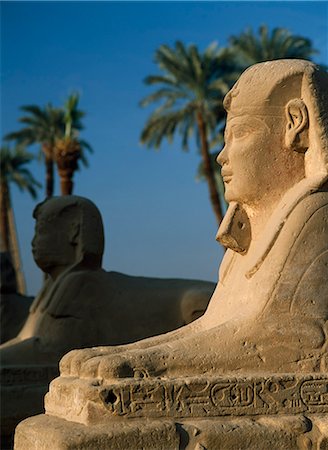 simsearch:851-02959622,k - Sphinx at dawn in avenue of sphinxes,Luxor Temple,Luxor,Egypt Foto de stock - Con derechos protegidos, Código: 851-02959581