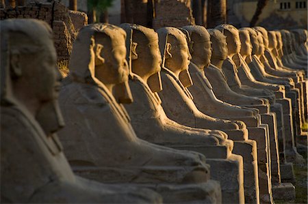 Allée des sphinx, Temple de Luxor, Luxor, Égypte Photographie de stock - Rights-Managed, Code: 851-02959609
