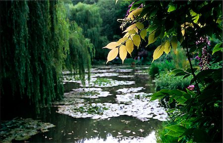 Étang de nénuphars à la maison de Monet, Giverny, France Photographie de stock - Rights-Managed, Code: 851-02959686