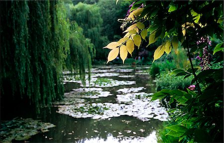 Lily pond at Monet's house,Giverny,France Stock Photo - Rights-Managed, Code: 851-02959686