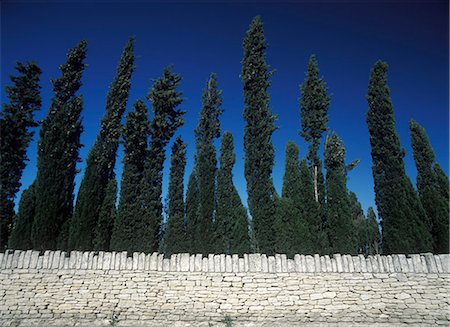 simsearch:851-02959792,k - Fir trees above wall in the village of Gordes,Provence,France. Foto de stock - Con derechos protegidos, Código: 851-02959765