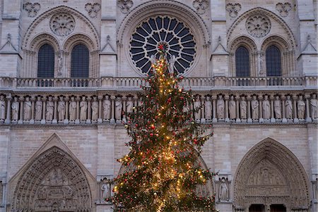 Arbre de Noël à l'extérieur de la cathédrale de Notre Dame à l'aube, Paris, France Photographie de stock - Rights-Managed, Code: 851-02959836