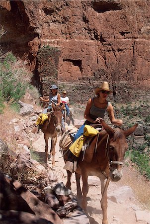 simsearch:851-02963600,k - Mule rides,Grand Canyon,Arizona,USA Stock Photo - Rights-Managed, Code: 851-02964011