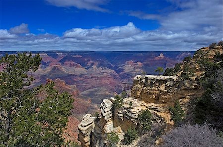 South Rim of Grand Canyon National Park, Foto de stock - Con derechos protegidos, Código: 851-02964029