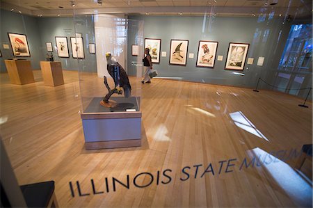 people full length gallery - Illinois Statue Museum art gallery,Chicago,Illinois,USA Stock Photo - Rights-Managed, Code: 851-02964161