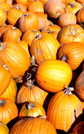 simsearch:851-02962928,k - Detail of orange pumpkins,New England,United States Foto de stock - Con derechos protegidos, Código: 851-02964236