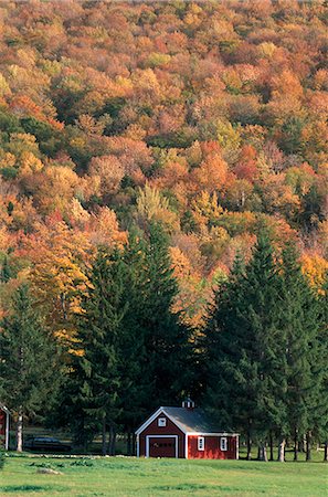 Fall foliage,Weston,Vermont,USA Foto de stock - Con derechos protegidos, Código: 851-02964393