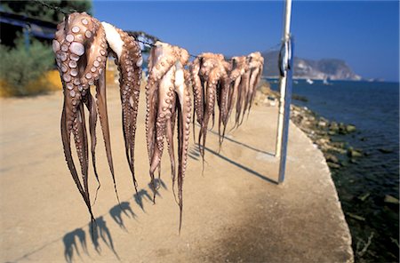 simsearch:851-02960092,k - Octopus drying in the sun,Antiparos,Greek Islands Foto de stock - Con derechos protegidos, Código: 851-02960037