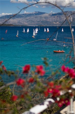 flowers greece - View of sailboats at sea through flowering branches,Lefkas,Ionian Islands,Greece Stock Photo - Rights-Managed, Code: 851-02960056