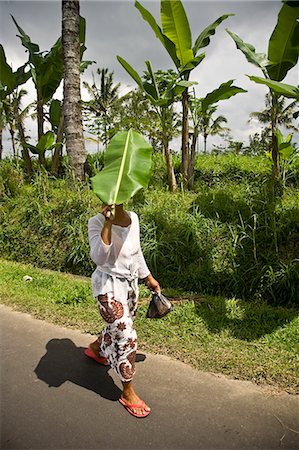 simsearch:851-02962928,k - Woman shading head with leaf,Ubud,Bali,Indonesia Foto de stock - Con derechos protegidos, Código: 851-02960244